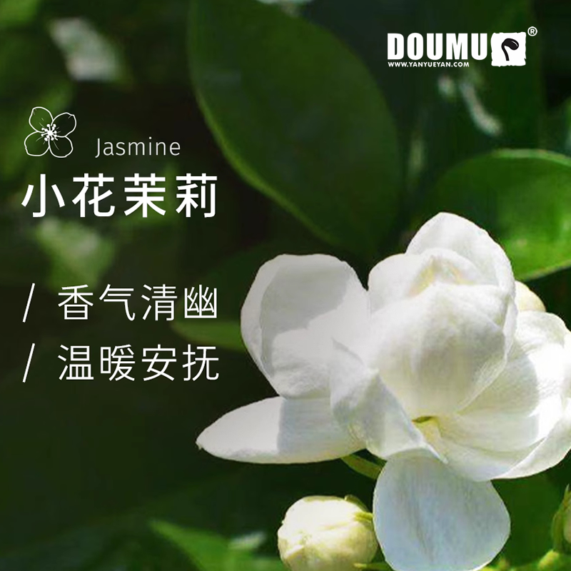 小花茉莉植物單方精油